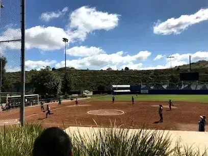 tree service close to me-Softball game in progress on a brown dirt field under a cloudy blue sky. Players in uniforms are on the field.
