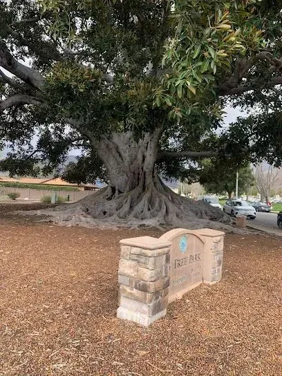 tree service close to me-Large tree with exposed roots behind a park sign that reads