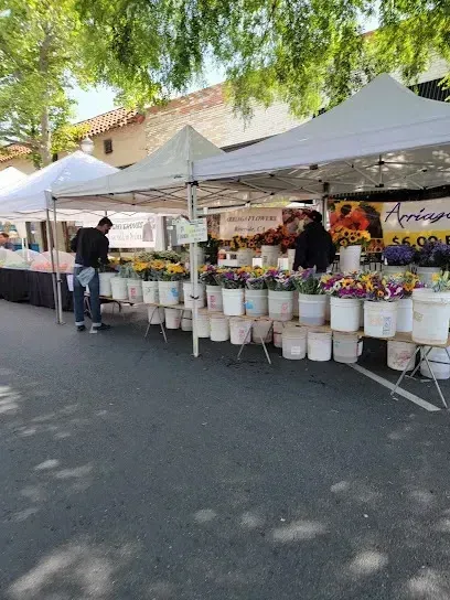 tree service close to me-Flower market with white tents and buckets of colorful blooms. People browse and work.