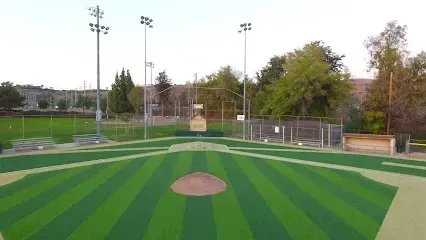 Tree service close to me-Baseball field, green and brown turf, backstop with signage, tall light poles, overcast sky.
