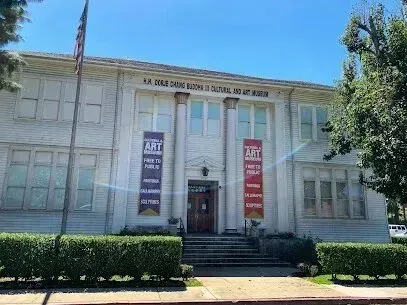 tree service close to me-White building with columns; museum with art banners and American flag.