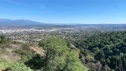 A view of a city from a hill with trees and mountains in the background.