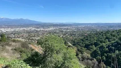 tree service close to me-Panoramic view of a city sprawling towards mountains, with green trees in the foreground under a clear blue sky.