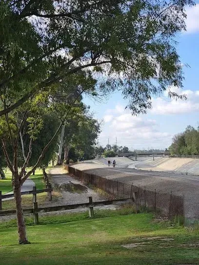 Tree service close to me-Playground with green and yellow structures, a carousel, and wood chip ground under a blue sky.