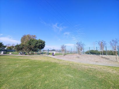 Tree service close to me-Baseball field, green and brown turf, backstop with signage, tall light poles, overcast sky.
