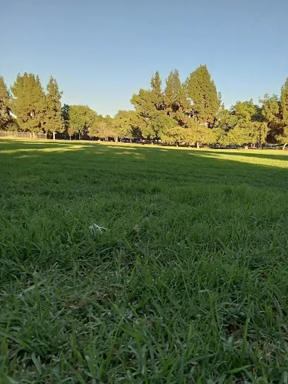 A field of green grass with trees in the background.