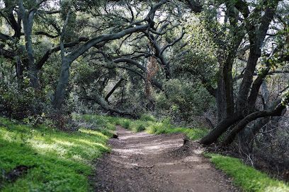 Sky Zone Trampoline Park in Covina California