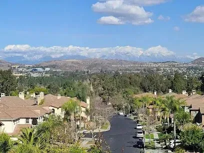 tree service close to me-Residential street with houses, trees, and snowy mountains under a blue sky.