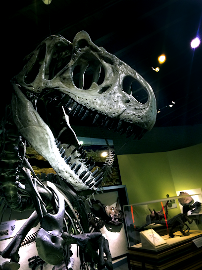 Picture of Raymond M. Alf Museum of Paleontology in Claremont, CA