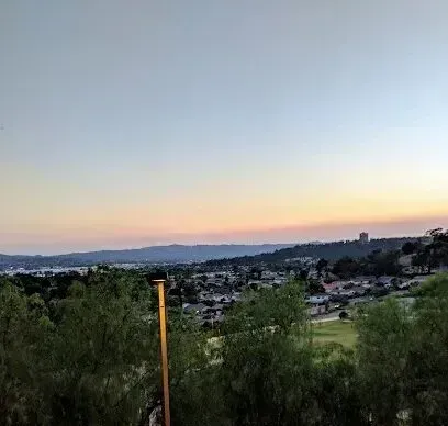 tree service close to me-Distant cityscape under a sunset sky, viewed from a slightly elevated, tree-lined area. Orange and pink hues.
