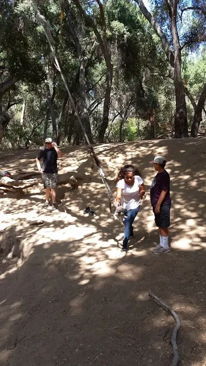A group of people are standing on top of a dirt hill in the woods.