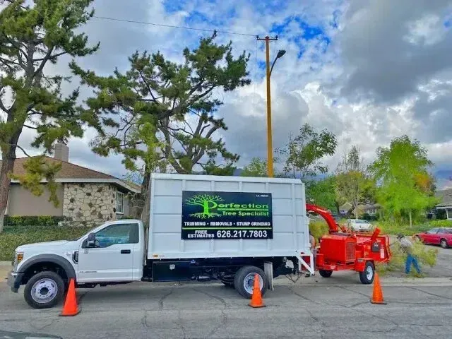tree service close to me-White truck with