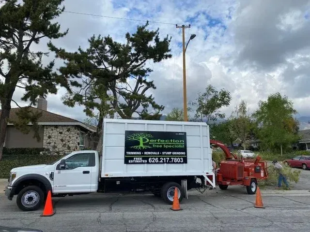 Tree service close to me-White truck with 