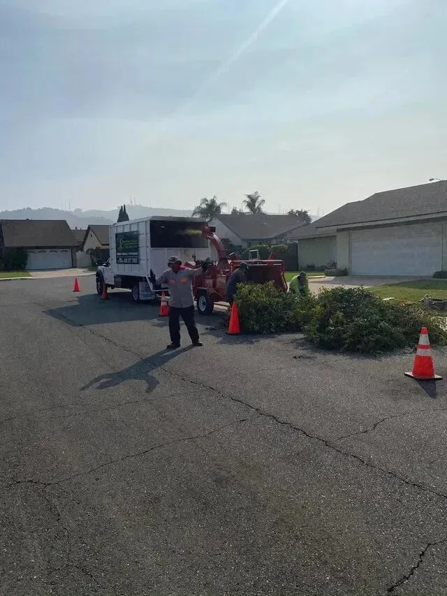 tree service close to me-Man standing near a truck with a wood chipper processing tree trimmings on a residential street.