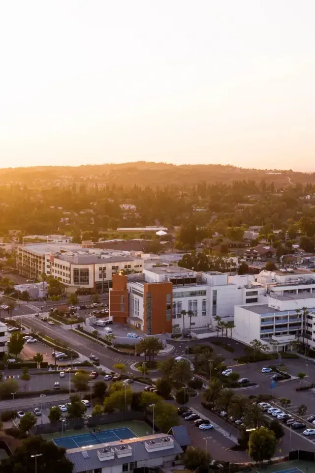 Tree service close to me-Aerial view of buildings, parking lots, and trees under a warm sunset sky.