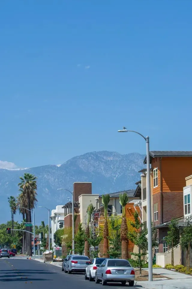 tree service close to me - Street lined with colorful buildings, palm trees, parked cars, and a mountain range in the background under a blue sky.