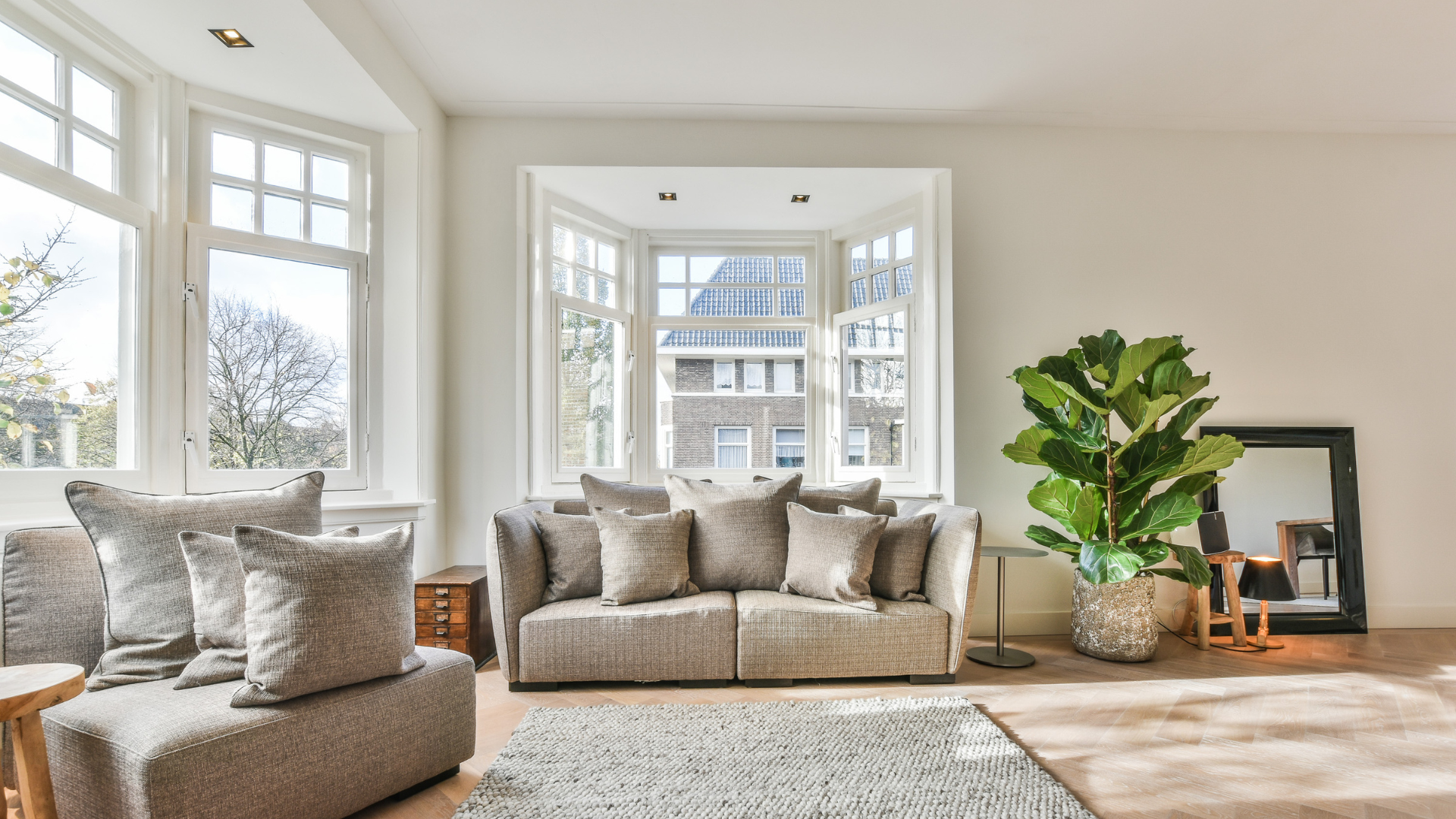 A living room with a couch , chair , plant and a large window.