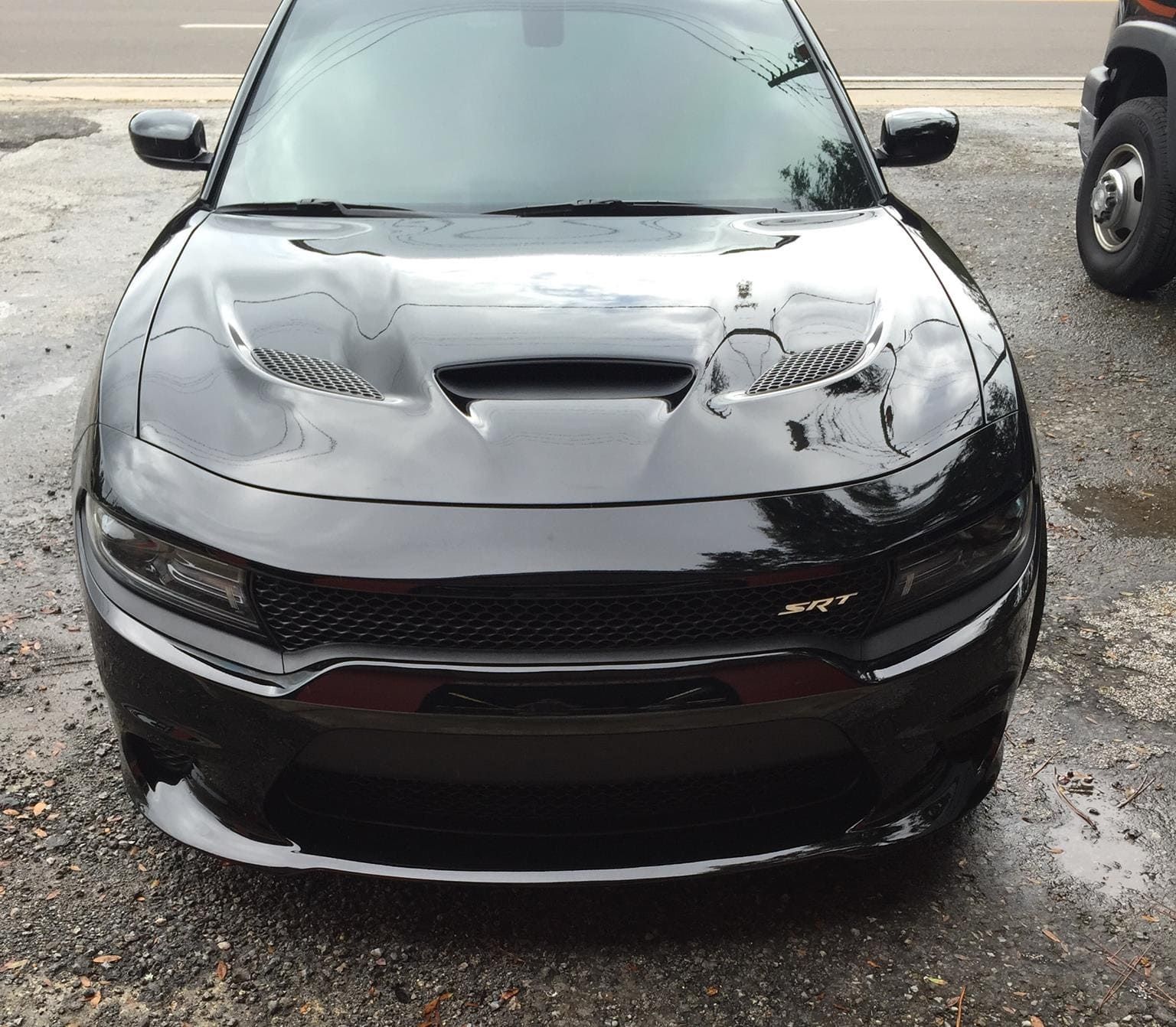 Gloss and Matte PPF Series