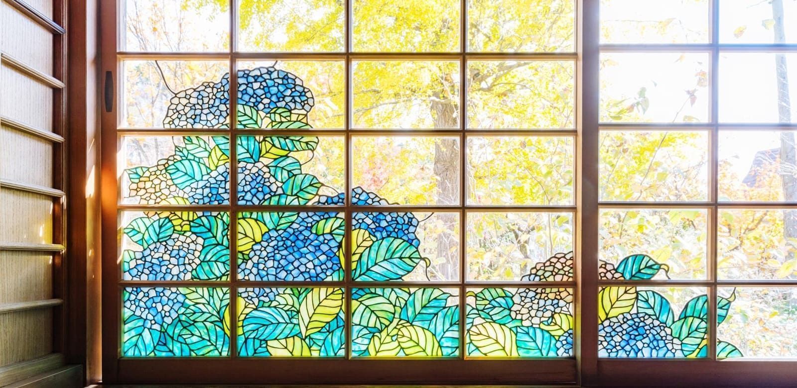 decorative window films Gainesville