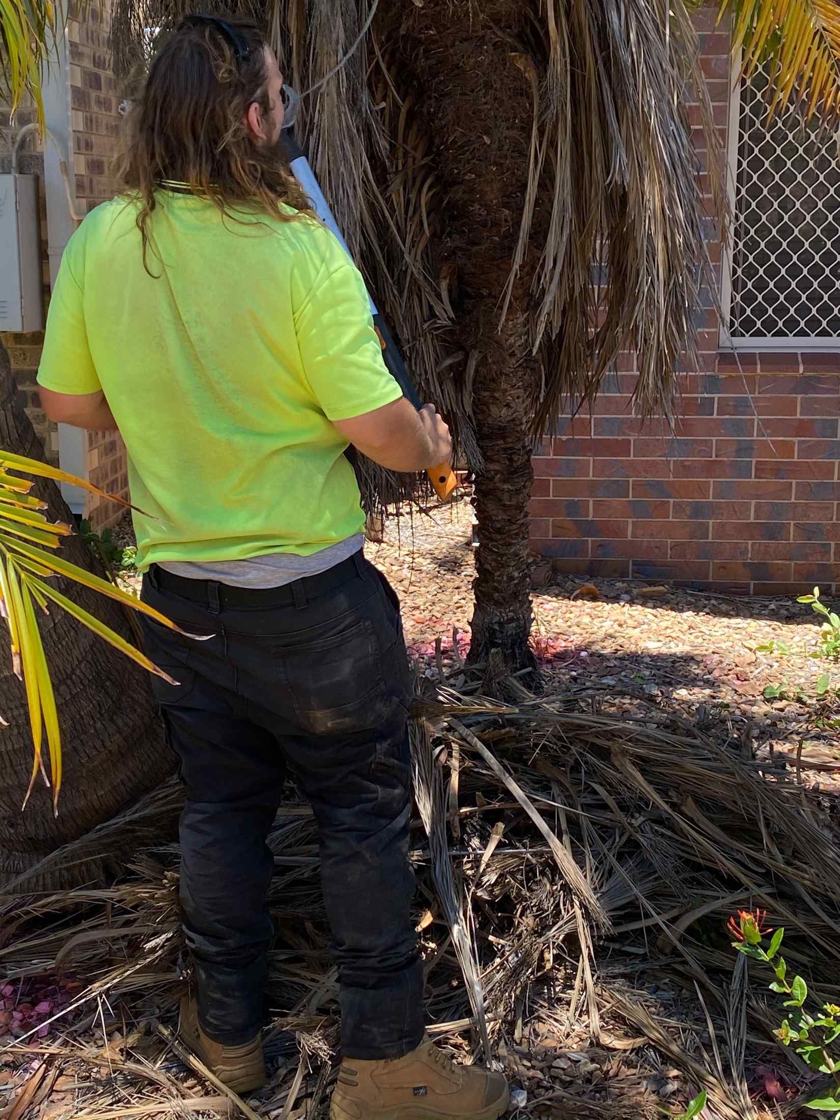 Person in Safety Vest Trims a Palm Tree with A Blade Outdoors — Darrell's Mowing Services in Sunset, QLD