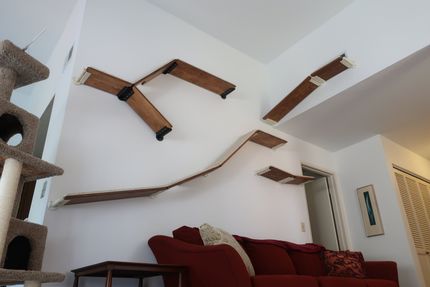 cat room shelves