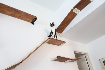 cat shelving system
