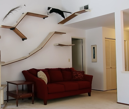 Cat Shelves Trees Modern Modular, Living Room Cat Shelves