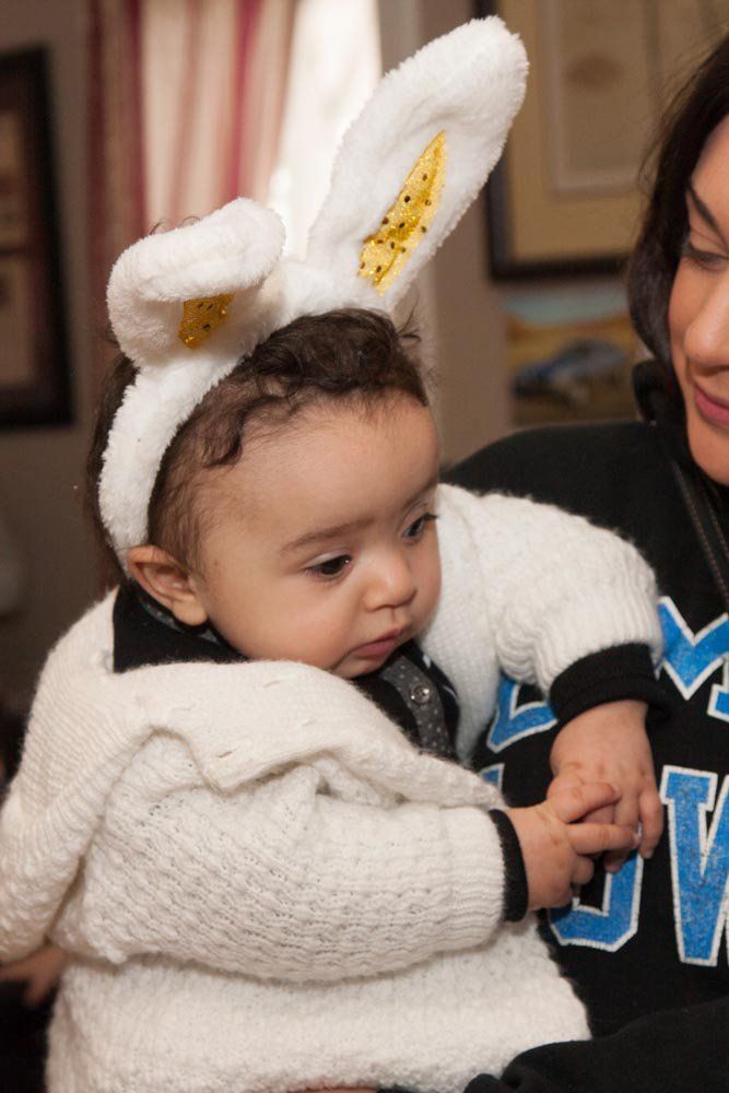 Twin Ponds offers many activities and wildlife to view!