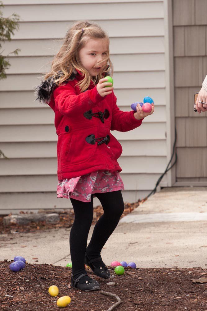 Twin Ponds offers many activities and wildlife to view!