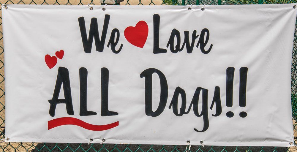 We love all dogs sign at Twin Ponds Nashua