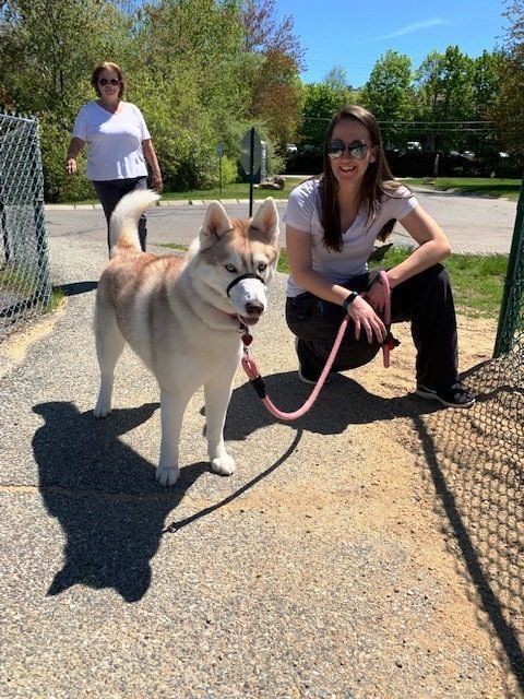 Twin Ponds Nashua Dogs