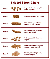 A bristol stool chart shows different types of stool