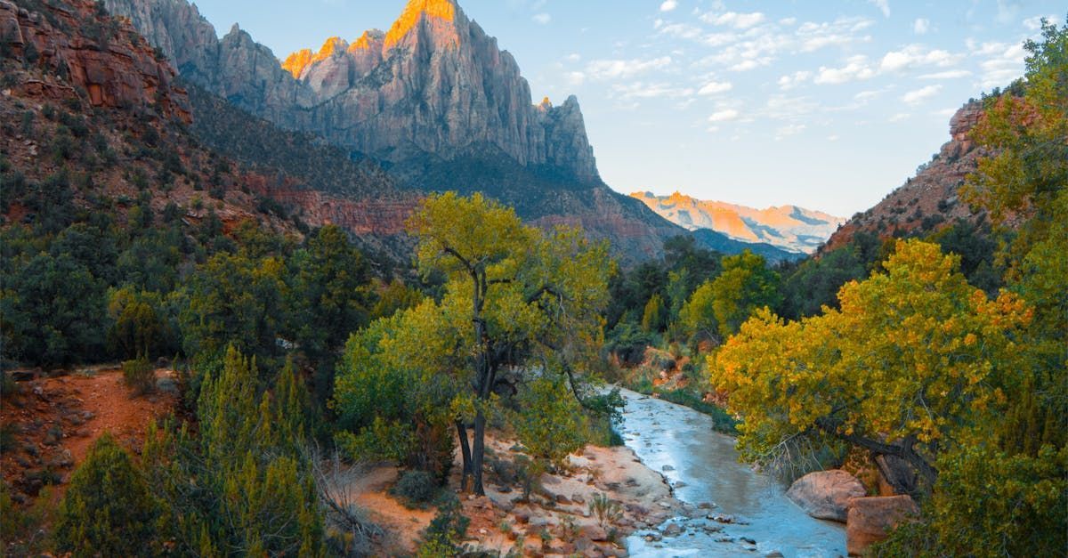 A river running through a valley surrounded by trees and mountains.