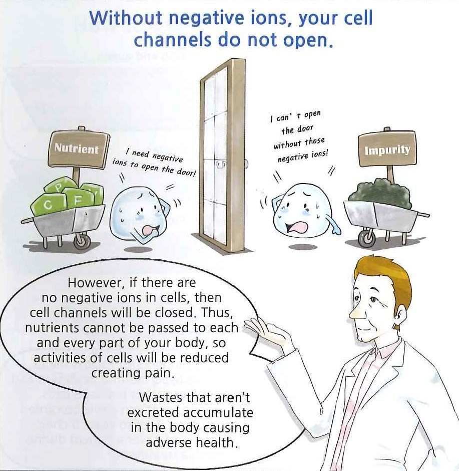 A cartoon of a man explaining that without negative ions your cell channels do not open