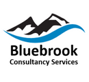 BLUEBROOK CONSULTANCY SERVICES-Logo