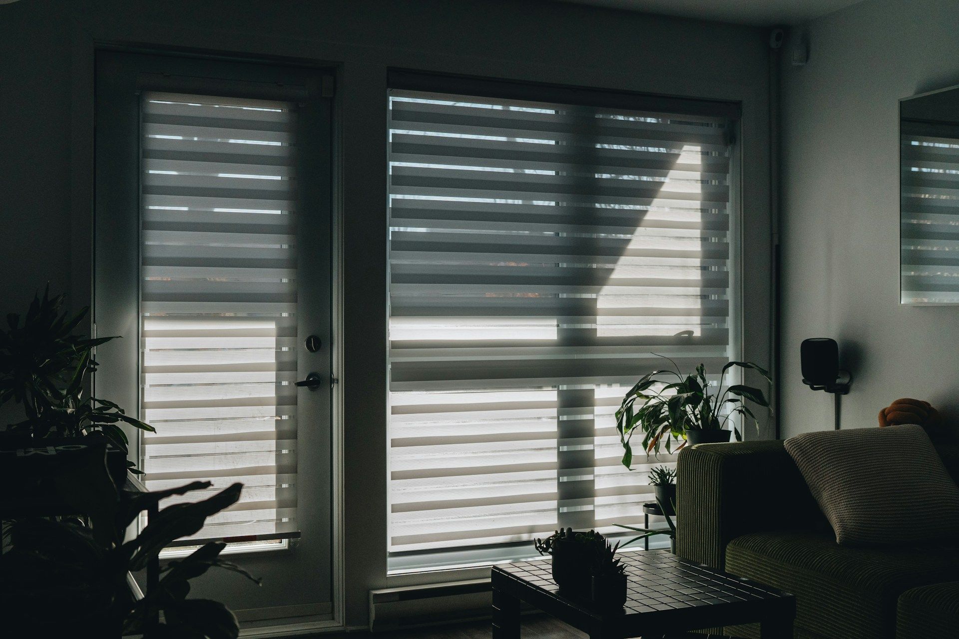 motorized sun shade