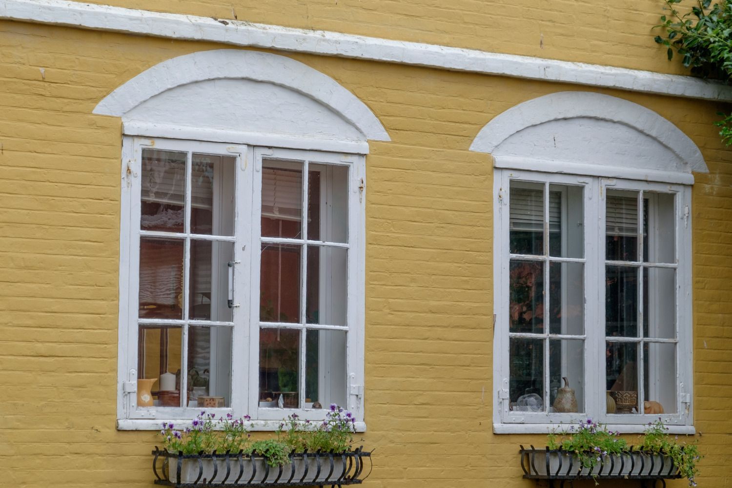 Pella Windows