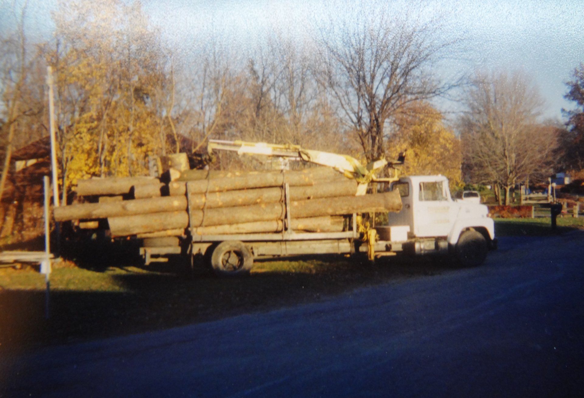 Tree Removal — Crane Holding a Tree in Delton, MI