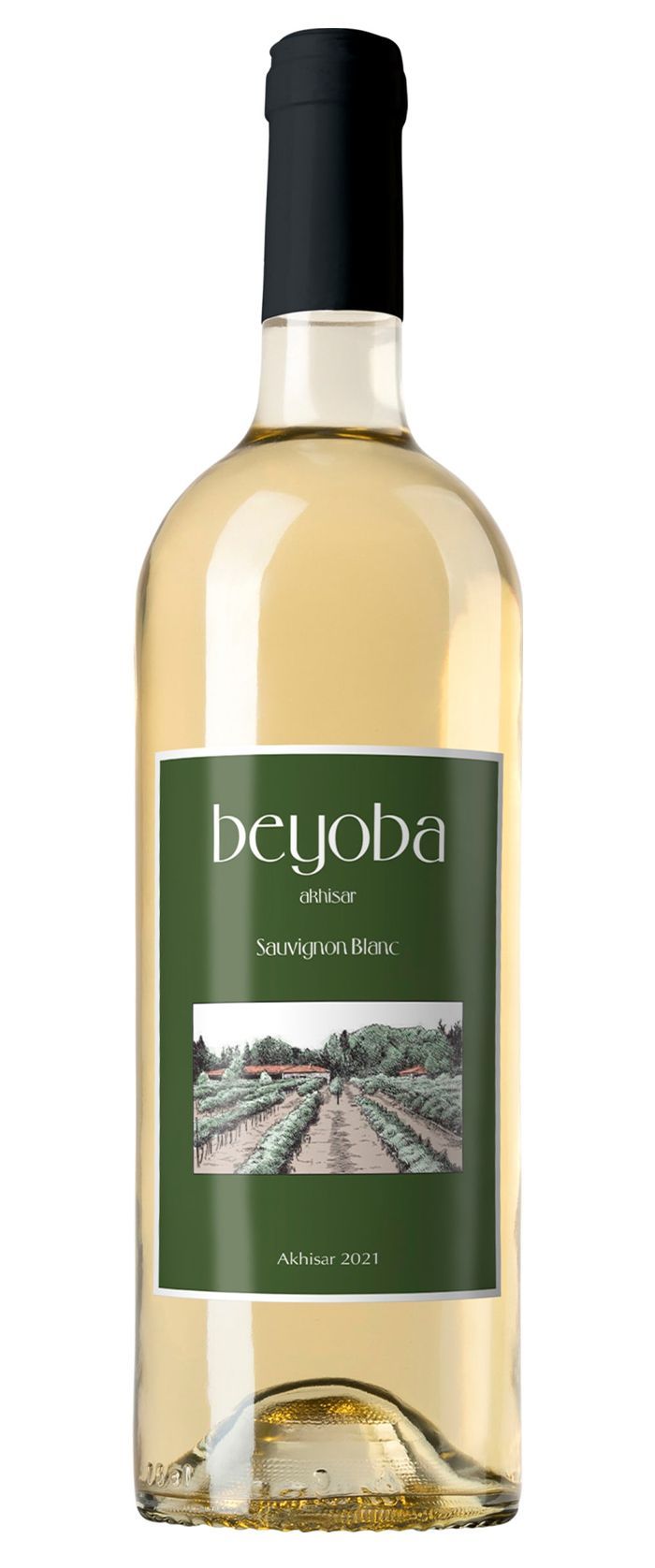 <b>Selendi Beyoba</b><br>Sauvignon Blanc