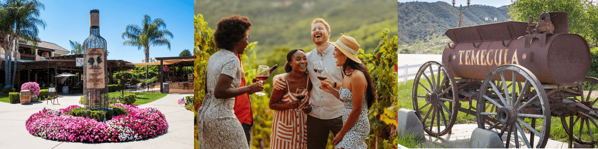 custom private temecula limo service wine tours