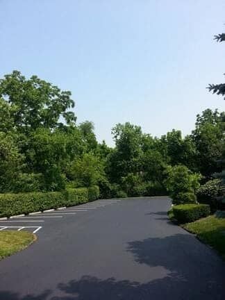 An empty parking lot with marked spaces bordered by lush green trees and manicured hedges under a clear blue sky.