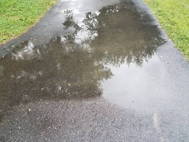 A large puddle on an asphalt driveway reflecting surrounding trees and a cloudy sky.