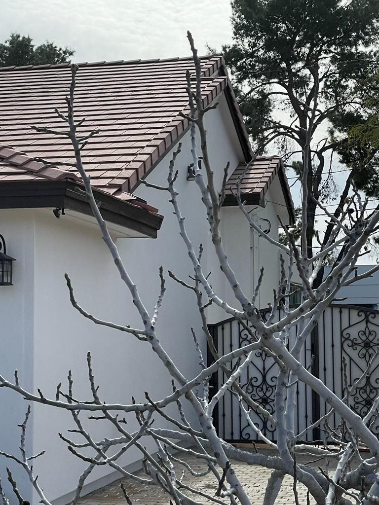 White stucco house with a brown tile roof and a bare tree in the foreground.
