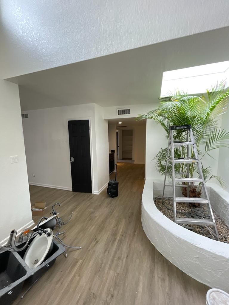 Interior view: room with white walls, black door, skylight, and a raised planter with a ladder.