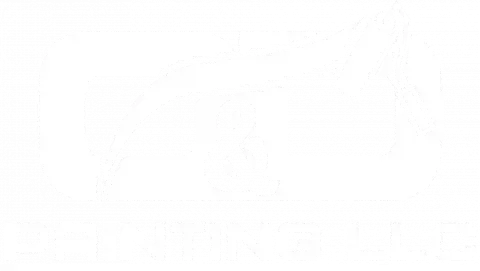 Blank white background.