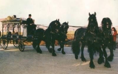 carrozze per tarsporti funebri Torino