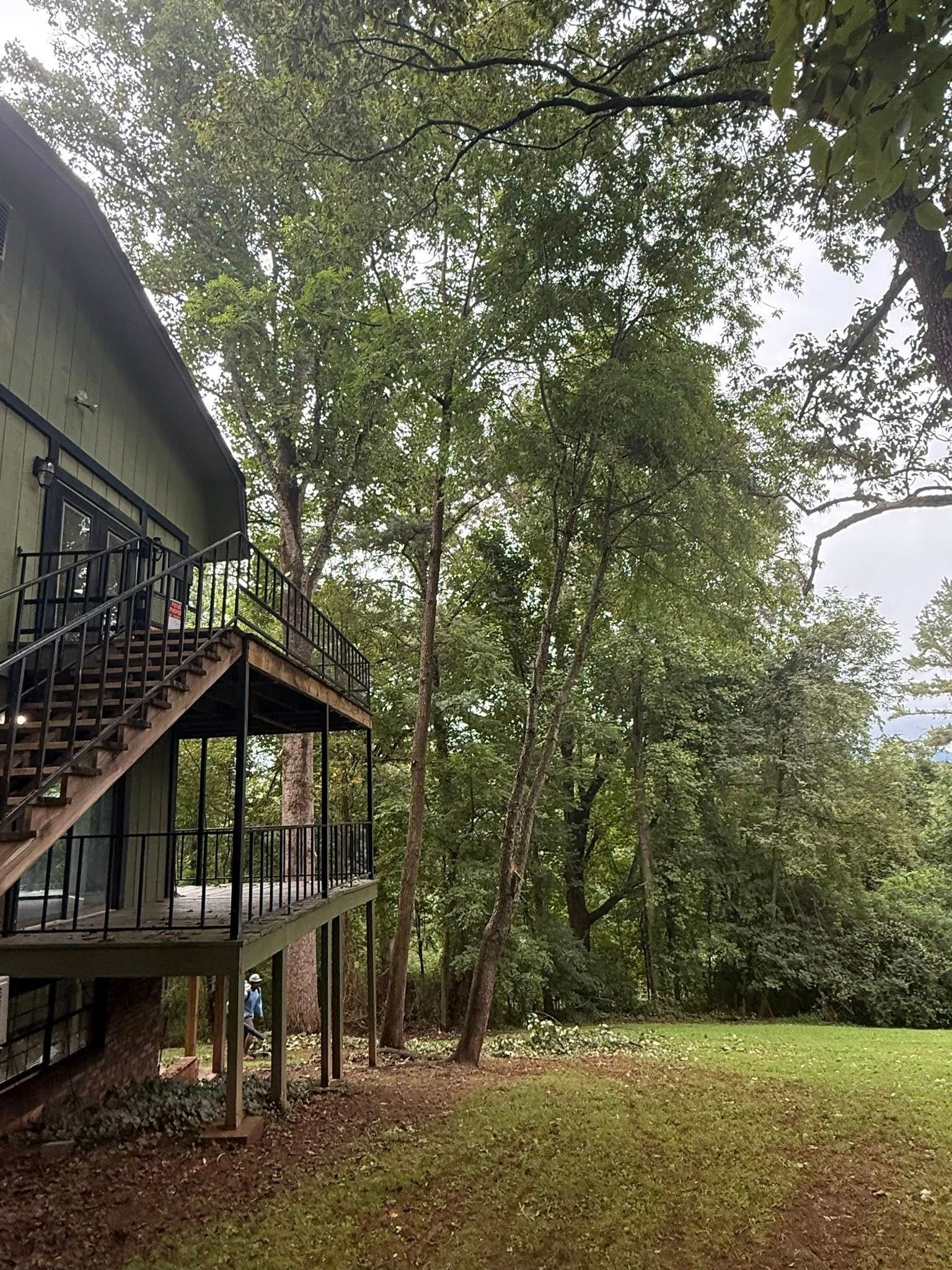 Green house with outdoor stairs and a grassy yard, trees in the background.