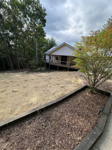 A small house on stilts in a clearing, surrounded by trees and a mulch-lined garden bed. Overcast sky.
