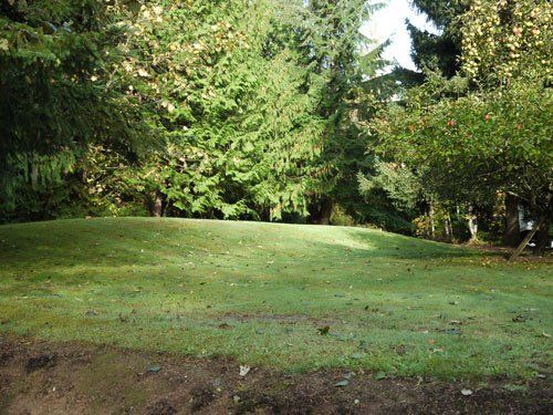 Photo of septic system