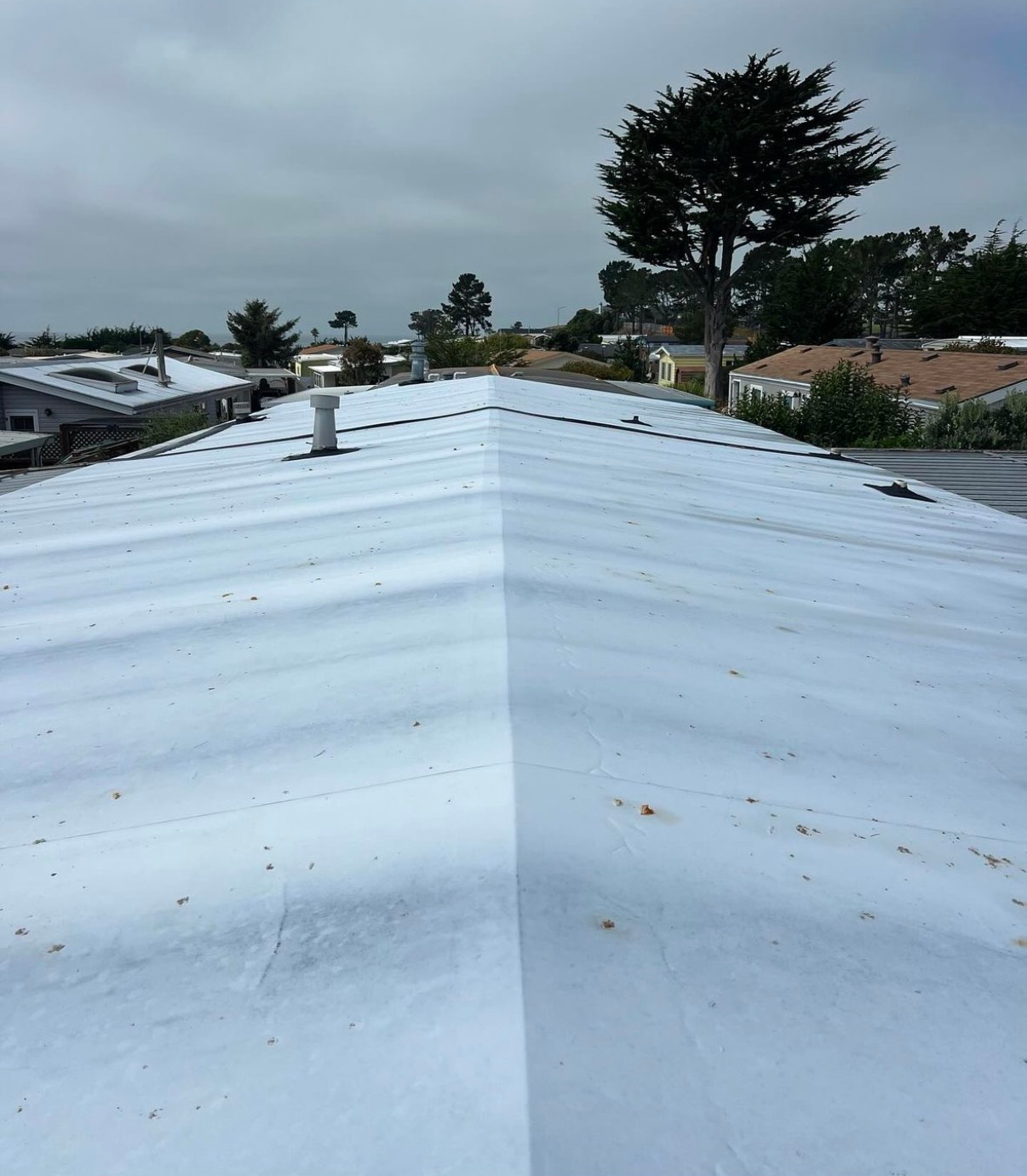 A white roof with a tree in the background on a cloudy day.